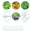 RX Ceramide Moisture Dew - 120ml - Image 3